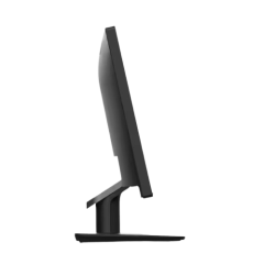 Monitor ThinkVision E20-30